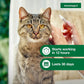 Advantage II Large Cat Flea Treatment, Vet Recommended, 6 Month Supply for Cats Over 9 lbs, Fast-Acting Prevention