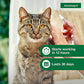 Advantage II Large Cat Flea Treatment and Prevention for Cats Over 9 lbs 1 Month Supply