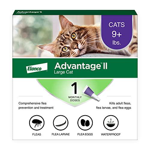 Advantage II Large Cat Flea Treatment and Prevention for Cats Over 9 lbs 1 Month Supply