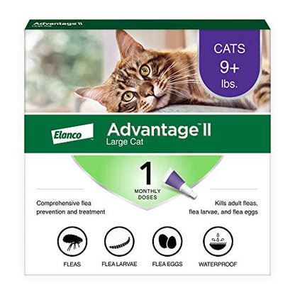Advantage II Large Cat Flea Treatment and Prevention for Cats Over 9 lbs 1 Month Supply