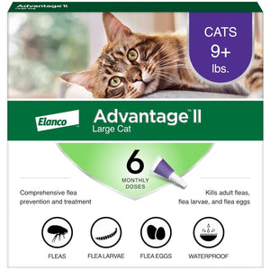 Advantage II Large Cat Flea Treatment, Vet Recommended, 6 Month Supply for Cats Over 9 lbs, Fast-Acting Prevention
