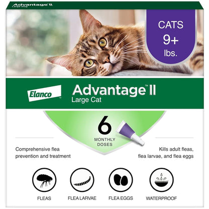 Advantage II Large Cat Flea Treatment, Vet Recommended, 6 Month Supply for Cats Over 9 lbs, Fast-Acting Prevention