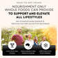 Ancestral Supplements Ancestral Supplements Grass Fed Beef Organ Supplement, Supports Whole Body Wellness With Proprietary Blend Of Liver, Heart, Kidney, Pancreas, Spleen, Freeze-Dried Beef, Non-GMO, 180 Capsules