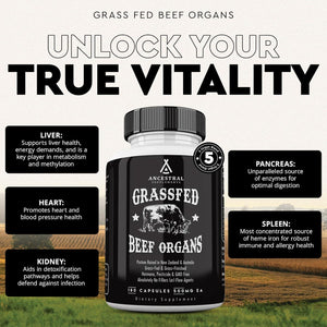 Ancestral Supplements Ancestral Supplements Grass Fed Beef Organ Supplement, Supports Whole Body Wellness With Proprietary Blend Of Liver, Heart, Kidney, Pancreas, Spleen, Freeze-Dried Beef, Non-GMO, 180 Capsules