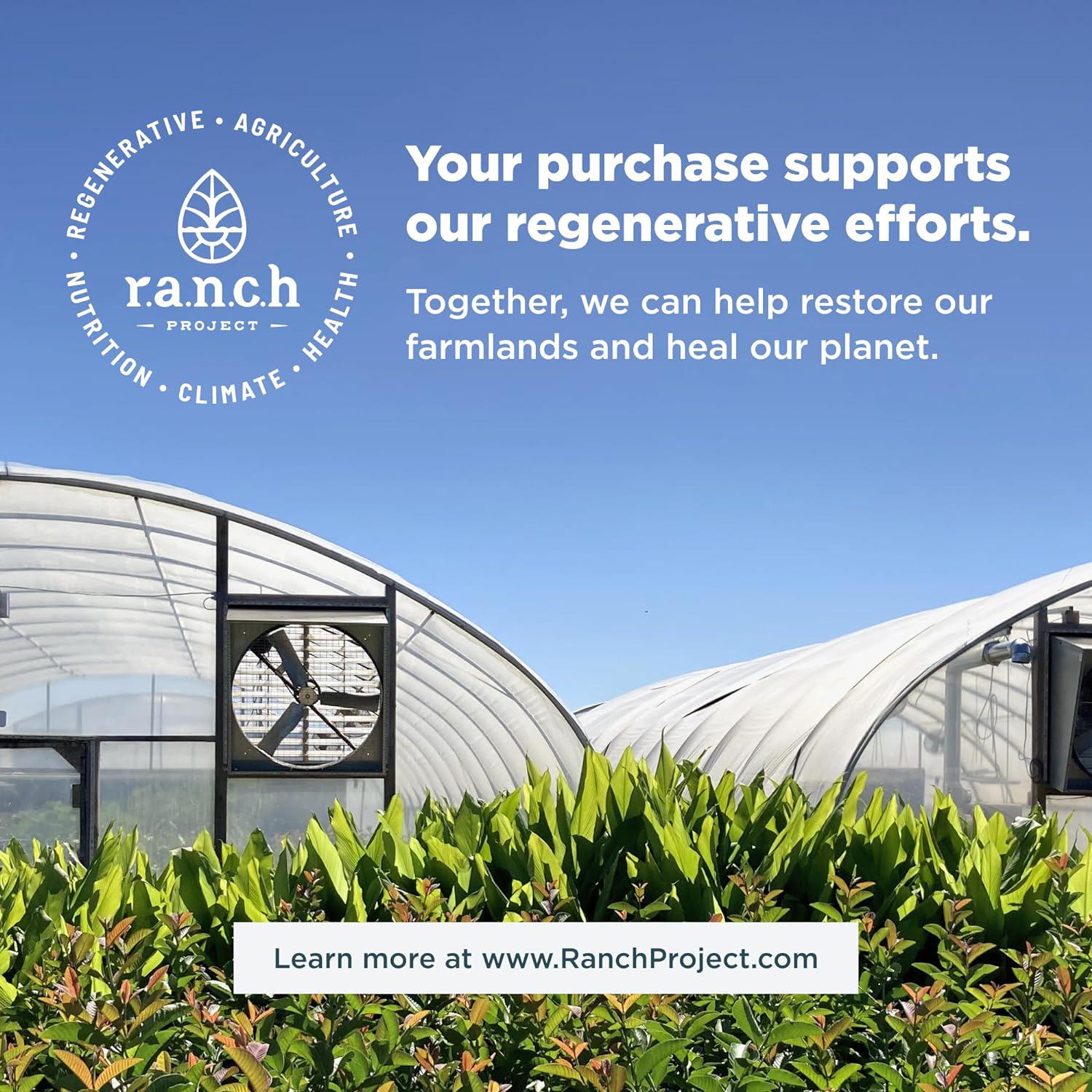 Ancient Nutrition Collagen Powder Protein, Multi Collagen Protein Powder, Strawberry Lemonade, 24 Servings, W/Vitamin C, Hydrolyzed Collagen Peptides For Skin, Nails, Gut Health And Joints, 9.65oz,