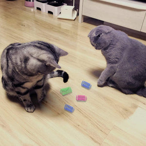 Andiker Cat Spring Toy, 12 Pcs, Heavy Plastic, Colorful Spiral for Swatting & Biting, Interactive Kitten Toy