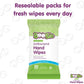 Boogie Antibacterial Hand Wipes By Boogie Wipes, Alcohol-Free, Hypoallergenic And Moisturizing Aloe, Boogie Hand Wipes For Adults And Kids, 5 Packs Of 20