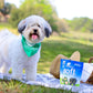 Ark Naturals Brushless Toothpaste Chews 12 oz Small Breeds Freshens Breath Unique Texture Reduces Plaque and Tartar