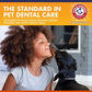 Arm and Hammer Dental Water Additive for Dogs Flavorless Mouth Rinse for Bad Breath 16 oz Bottle