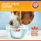 Arm and Hammer Dental Water Additive for Dogs Flavorless Mouth Rinse for Bad Breath 16 oz Bottle