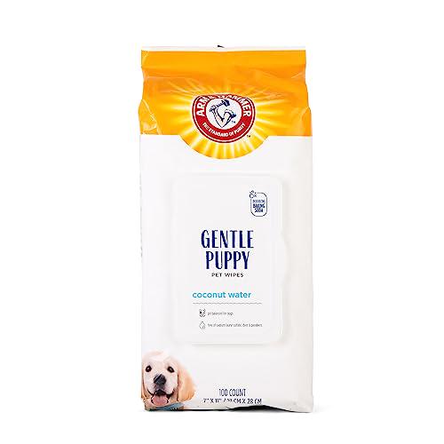 Arm & Hammer Deodorizing Dog Grooming Wipes with Coconut Scent 100 Count Pack