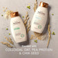 Aveeno Plant Protein Blend Strength & Length Shampoo & Conditioner 354ml