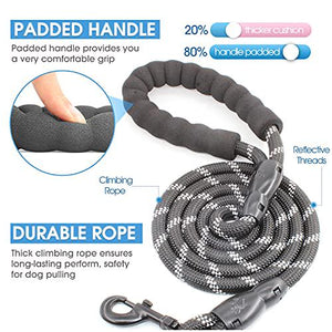BAAPET Dog Leash 5ft with Padded Handle Reflective Threads for Small to Large Dogs Black