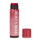 Burt's Bees Red Dahlia Tinted Lip Balm 4.25g