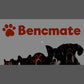 Bencmate Inflatable Recovery Collar for Dogs & Cats, Large, Blue, Soft Protective Cone, Doesn’t Block Vision
