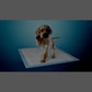 BV Extra-Large Puppy Pee Pads, 28"x34", 40 Ct, Leak-Proof, Odor Control, 6-Layer Design, XL Dogs