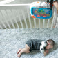 Baby Einstein Sea Dreams Soother Musical Crib Toy And Sound Machine, Newborn And Up,