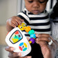 Baby Einstein Take Along Tunes Musical Toy for Infants Ages 3 Months Plus