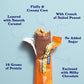 Barebells Soft Protein Bars, Salted Peanut Caramel, 12 Count, 16g High Protein, 1g Total Sugars, On-the-Go Breakfast or Post-Workout Snack