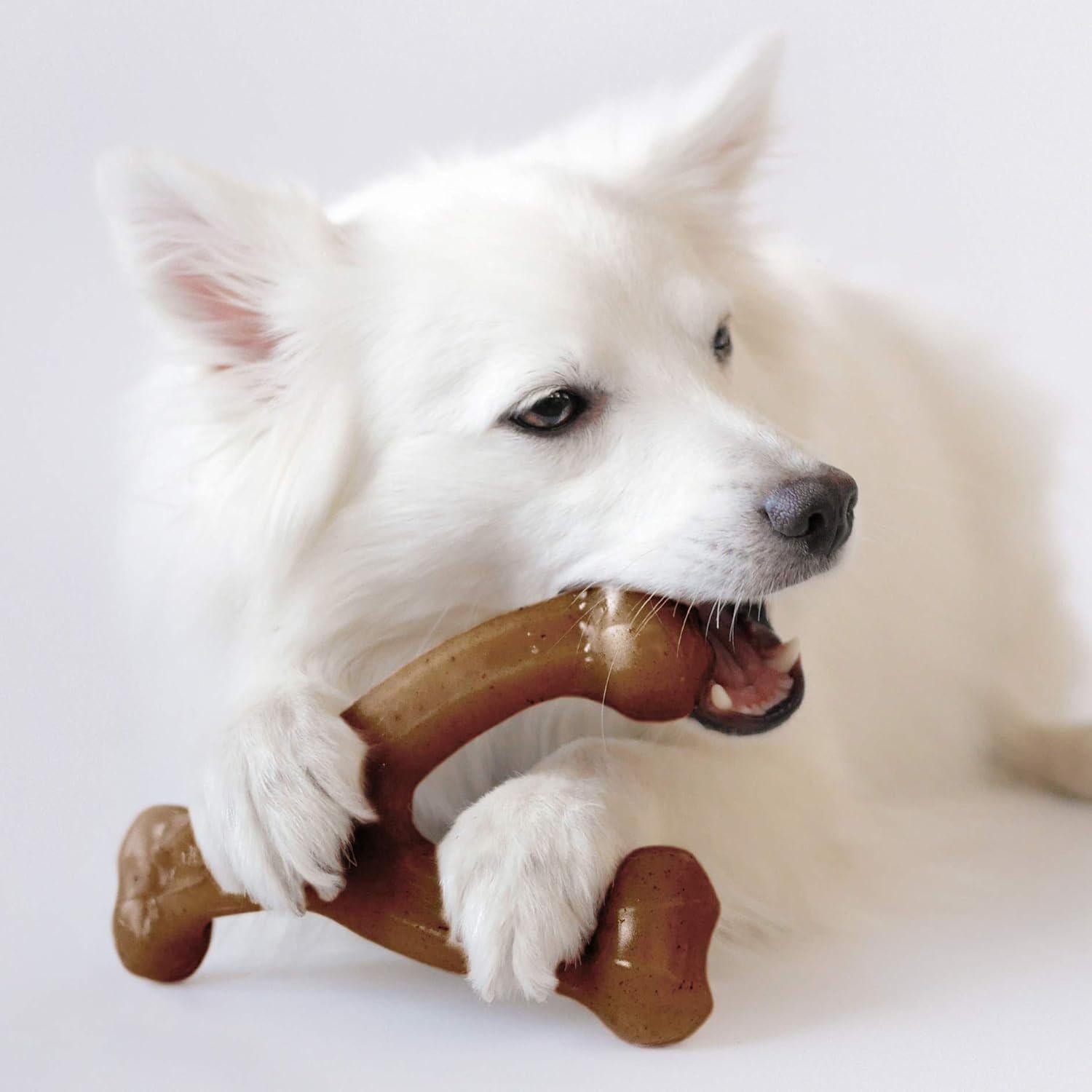 Benebone Indestructible Wishbone Dog Chew Toy For Aggressive Chewers, Long Lasting Tough Boredom Breaker For Dogs, Real Peanut Flavour, For Medium Dogs, Made In The USA.,