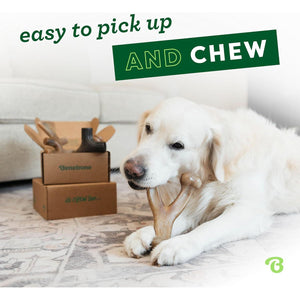Benebone 4-Pack Dog Chew Toys, Aggressive Chewers, Made in USA, for Medium Dogs Up to 60 lbs