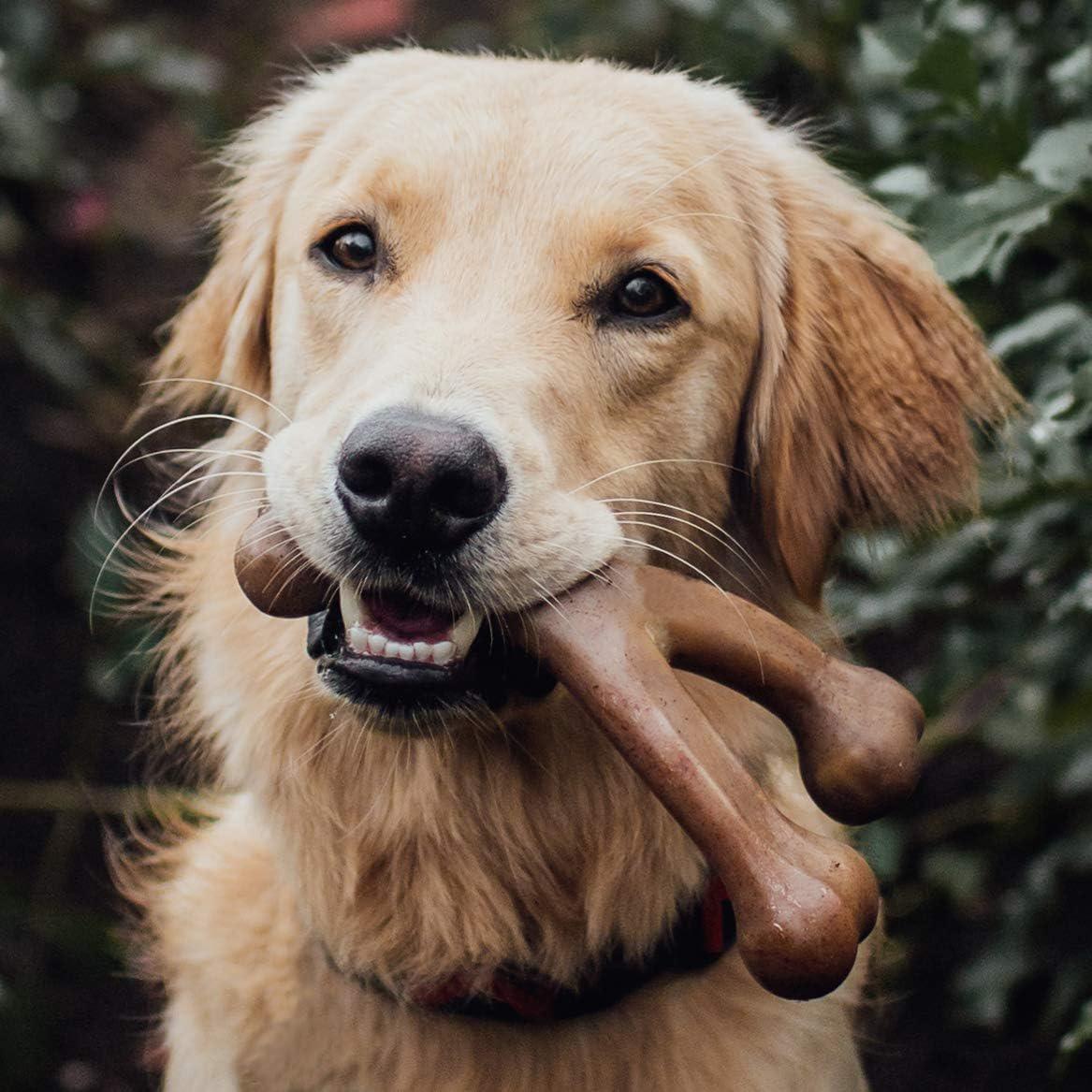 Benebone Wishbone Durable Dog Chew Toy For Aggressive Chewers, Real Peanut, Made In USA, Large,