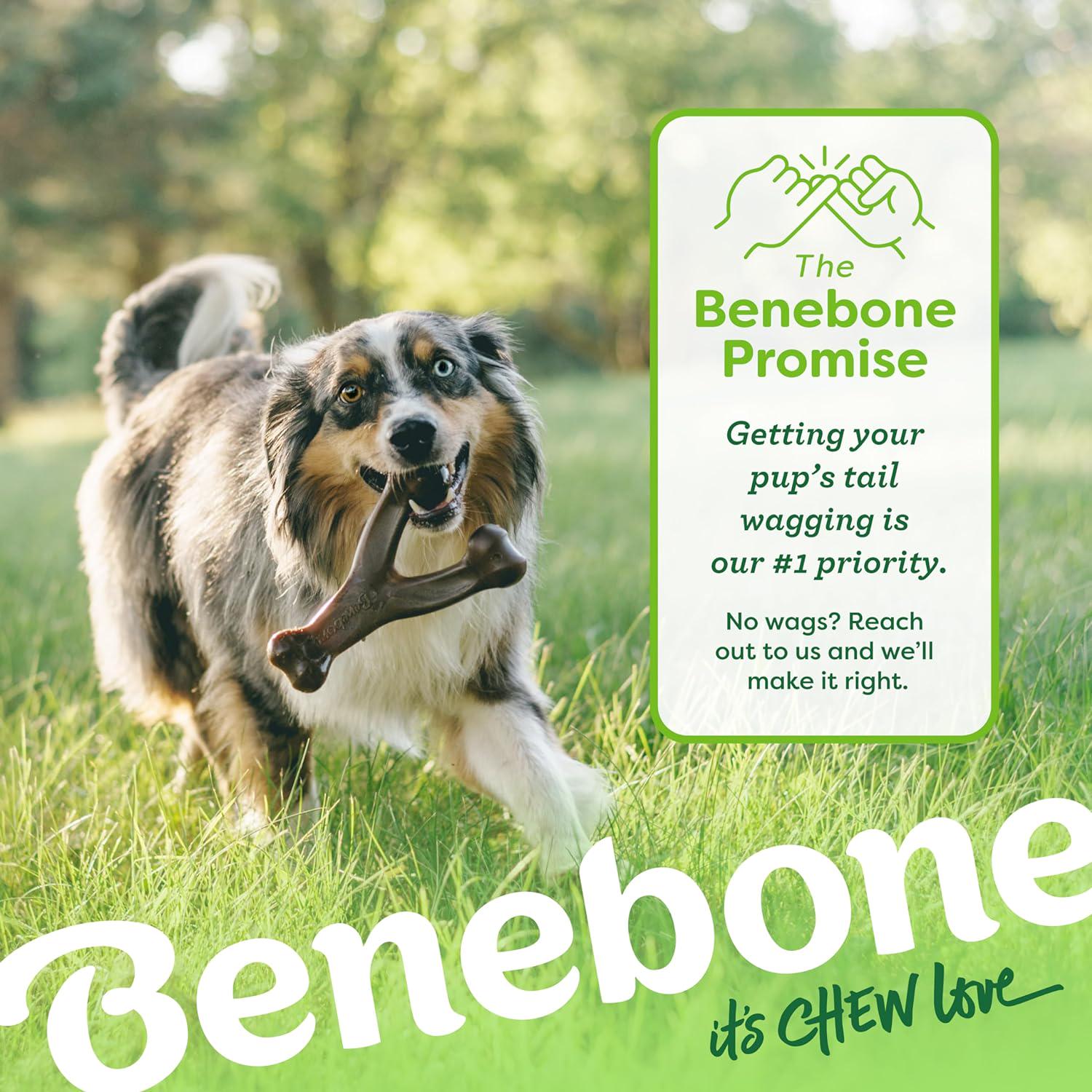 Benebone Wishbone Durable Dog Chew Toy For Aggressive Chewers, Real Peanut, Made In USA, Giant,