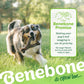 Benebone Wishbone Durable Dog Chew Toy For Aggressive Chewers, Real Chicken, Made In USA, Small, For Any Breed,