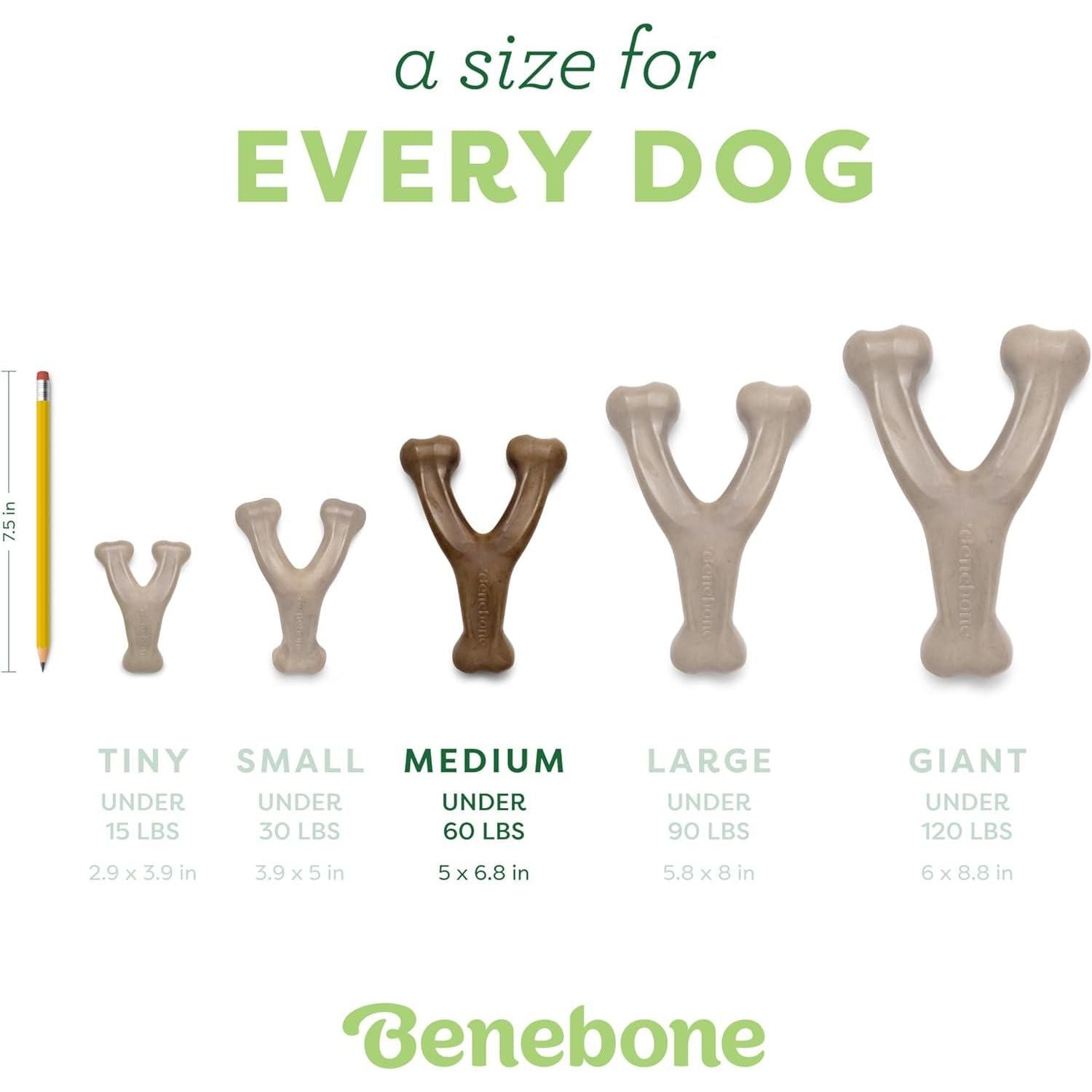 Benebone Wishbone Durable Dog Chew Toy For Aggressive Chewers, Real Bacon, Made In USA, Medium,