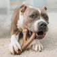 Benebone Wishbone Durable Dog Chew Toy For Aggressive Chewers, Real Peanut, Made In USA, Large,