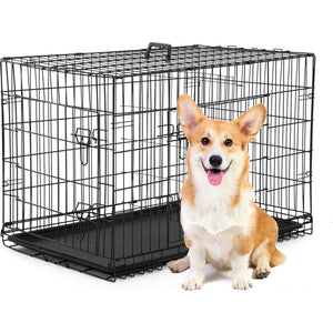BestPet 30 Inch Folding Metal Dog Crate with Divider and Tray for Small Dogs