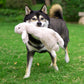 Best Pet Supplies 2-in-1 Stuffless Dog Toys, 4 Small Squeaky Figures, Durable Soft Indoor Play Chew Toys