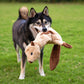 Best Pet Supplies 2-in-1 Stuffless Dog Toys, 4 Small Squeaky Figures, Durable Soft Indoor Play Chew Toys