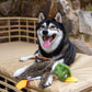 Best Pet Supplies 2-in-1 Stuffless Dog Toys, 4 Small Squeaky Figures, Durable Soft Indoor Play Chew Toys