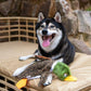 Best Pet Supplies Stuffless Squeaky Dog Toy, Small Wild Duck, 2-in-1 Soft Durable Plush Toy, No Stuffing