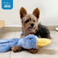 Best Pet Supplies Crinkle Dog Toy No Stuffing Squeaky Plush Duck Blue Fun Indoor Chew Toy for Small Medium Large Breeds and Puppies