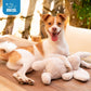 Best Pet Supplies Bunny Buddy Dog Toy Squeaky Plush with Crinkle for Small Medium Dogs