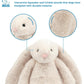 Best Pet Supplies Bunny Buddy Dog Toy Squeaky Plush with Crinkle for Small Medium Dogs