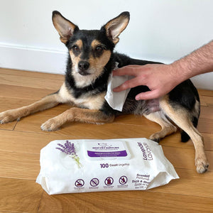 Best Pet Supplies Pet Wipes for Dogs 100 Count Calming Lavender and Aloe Deodorizing Cleaning Wipes for Coats Paws and Ears