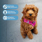 Best Pet Supplies Voyager Step-In Dog Harness, Small Reflective Mesh, No Pull, Hook & Loop, Fuchsia S
