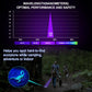 Black Light UV Light Flashlight: Vansky 395nm 12 LED 2 Pack Ultraviolet Blacklight Flashlight Mini Powerful Pet Urine Detector For Dog/Cat, Carpet Dry Stains Detection, Spot Scorpions, Resin Curing,