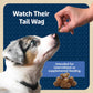 Blue Buffalo Bits Chicken Soft Dog Treats 19 oz Bag with DHA for Puppy Training Natural Formula