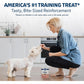 Blue Buffalo Bits Training Dog Treats with DHA Natural Salmon Recipe Soft Chews 4 oz Bag