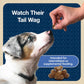 Blue Buffalo Bits Soft Training Treats for Dogs 4 oz Bag Chicken Recipe Natural Ingredients with DHA