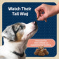 Blue Buffalo Bits Training Dog Treats with DHA Natural Salmon Recipe Soft Chews 4 oz Bag