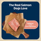 Blue Buffalo Bits Training Dog Treats with DHA Natural Salmon Recipe Soft Chews 4 oz Bag