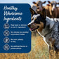 Blue Buffalo Blue's Stew Wet Dog Food Variety Pack 6 Cans 12.5 oz Hearty Beef and Country Chicken
