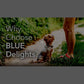 Blue Buffalo Delights Wet Dog Food 3.5 oz Cups 12 Count Filet Mignon and NY Strip in Hearty Gravy