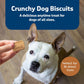 Blue Buffalo Health Bars Dog Biscuits Pumpkin and Cinnamon 16 oz Oven Baked