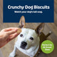 Blue Buffalo Health Bars Mini Dog Biscuits, Apple & Yogurt, Crunchy Oven-Baked Treats, 16 oz Bag